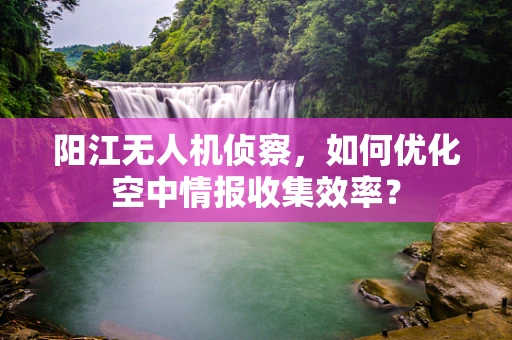阳江无人机侦察，如何优化空中情报收集效率？