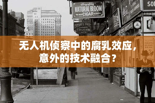 无人机侦察中的腐乳效应，意外的技术融合？