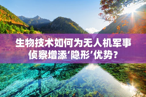 生物技术如何为无人机军事侦察增添‘隐形’优势？