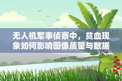 无人机军事侦察中，贫血现象如何影响图像质量与数据解析度？