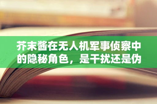 芥末酱在无人机军事侦察中的隐秘角色，是干扰还是伪装？