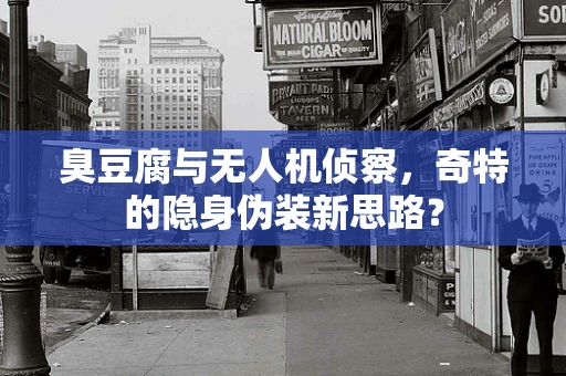 臭豆腐与无人机侦察，奇特的隐身伪装新思路？