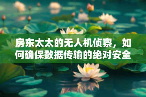 房东太太的无人机侦察，如何确保数据传输的绝对安全？