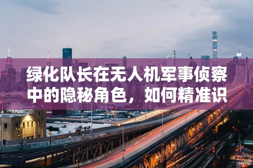 绿化队长在无人机军事侦察中的隐秘角色，如何精准识别与利用植被伪装？