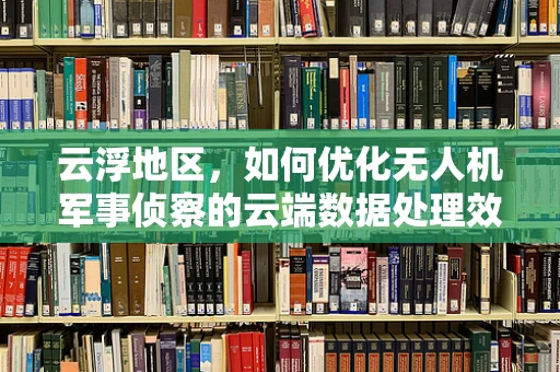 云浮地区，如何优化无人机军事侦察的云端数据处理效率？