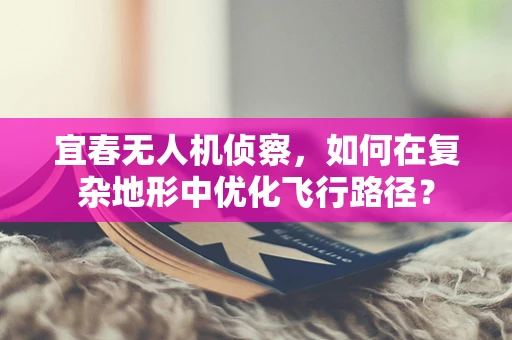 宜春无人机侦察，如何在复杂地形中优化飞行路径？