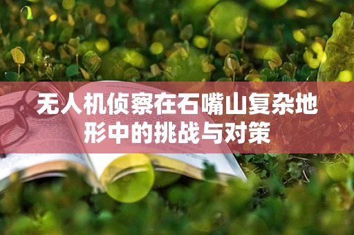 无人机侦察在石嘴山复杂地形中的挑战与对策
