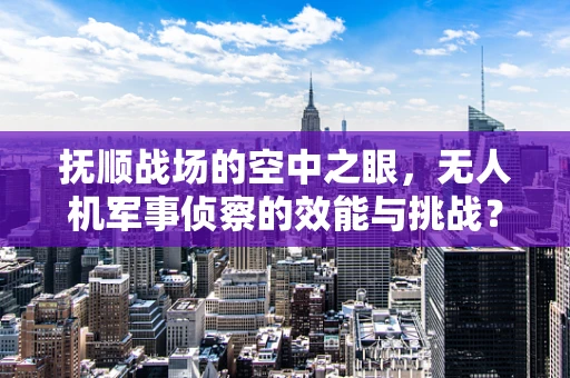 抚顺战场的空中之眼，无人机军事侦察的效能与挑战？