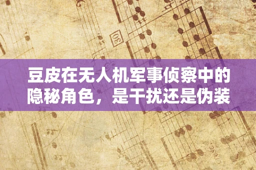 豆皮在无人机军事侦察中的隐秘角色，是干扰还是伪装？