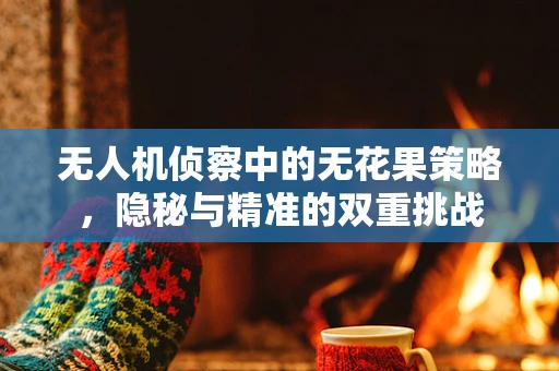 无人机侦察中的无花果策略，隐秘与精准的双重挑战