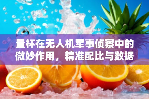 量杯在无人机军事侦察中的微妙作用，精准配比与数据收集的完美结合