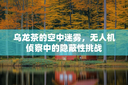 乌龙茶的空中迷雾，无人机侦察中的隐蔽性挑战