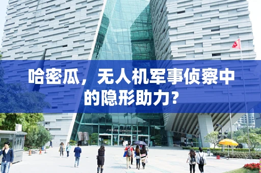 哈密瓜，无人机军事侦察中的隐形助力？