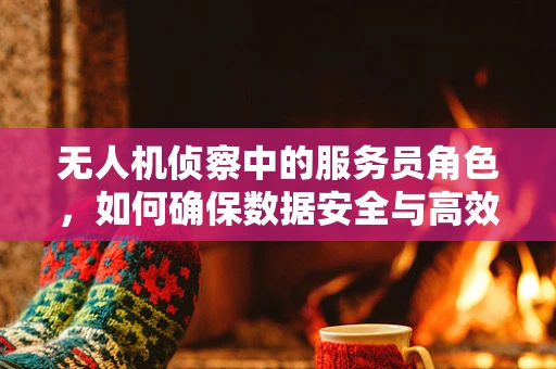 无人机侦察中的服务员角色，如何确保数据安全与高效传输？