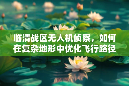 临清战区无人机侦察，如何在复杂地形中优化飞行路径？