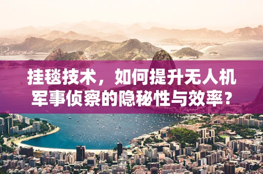 挂毯技术，如何提升无人机军事侦察的隐秘性与效率？