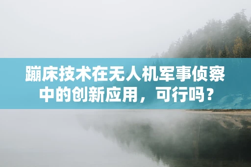 蹦床技术在无人机军事侦察中的创新应用，可行吗？