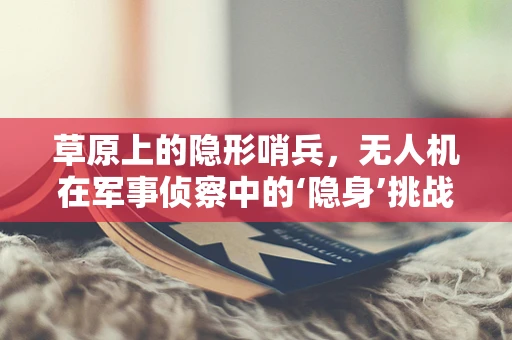 草原上的隐形哨兵，无人机在军事侦察中的‘隐身’挑战