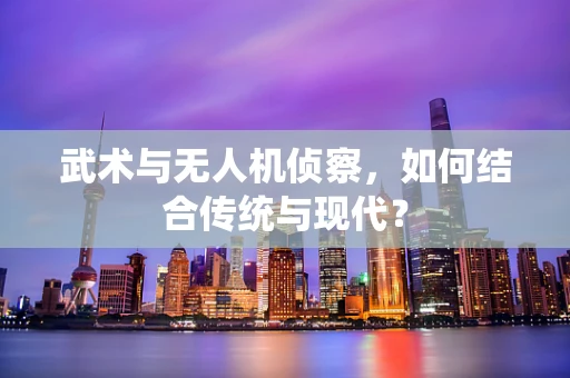 武术与无人机侦察，如何结合传统与现代？