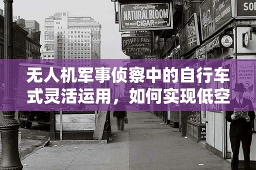 无人机军事侦察中的自行车式灵活运用，如何实现低空隐蔽侦察？
