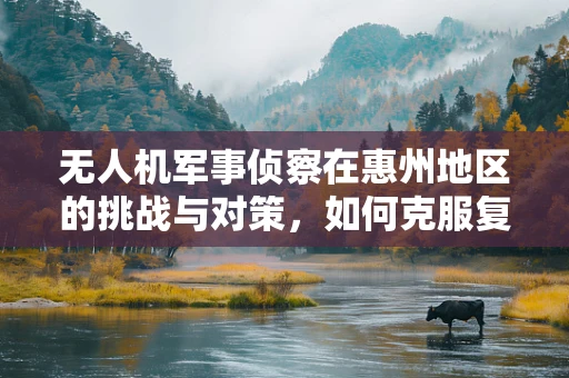 无人机军事侦察在惠州地区的挑战与对策，如何克服复杂地形与城市环境的限制？
