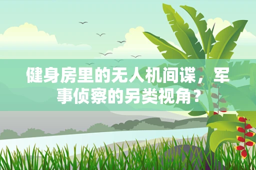 健身房里的无人机间谍，军事侦察的另类视角？