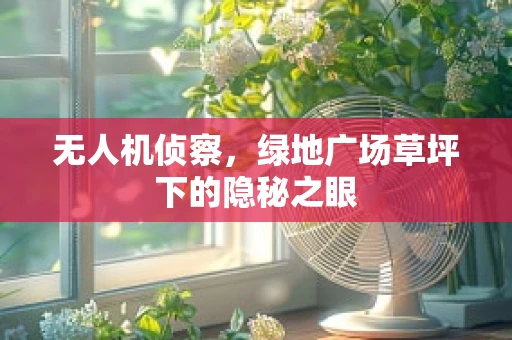 无人机侦察，绿地广场草坪下的隐秘之眼