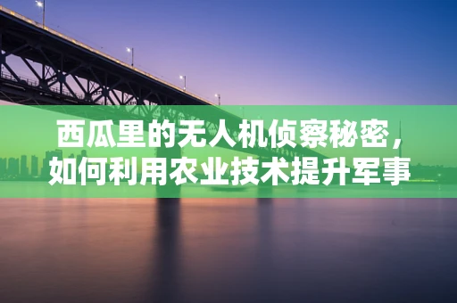 西瓜里的无人机侦察秘密，如何利用农业技术提升军事侦察效率？