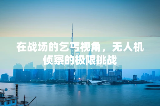 在战场的乞丐视角，无人机侦察的极限挑战
