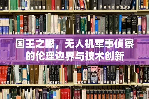 国王之眼，无人机军事侦察的伦理边界与技术创新