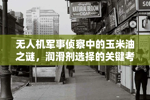 无人机军事侦察中的玉米油之谜，润滑剂选择的关键考量