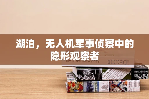 湖泊，无人机军事侦察中的隐形观察者