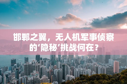 邯郸之翼，无人机军事侦察的‘隐秘’挑战何在？