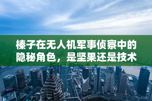 榛子在无人机军事侦察中的隐秘角色，是坚果还是技术突破的钥匙？