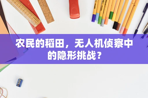 农民的稻田，无人机侦察中的隐形挑战？