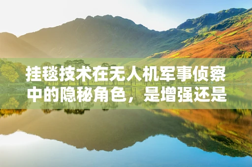 挂毯技术在无人机军事侦察中的隐秘角色，是增强还是误导？