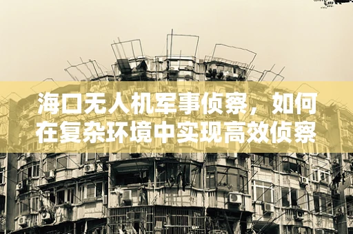 海口无人机军事侦察，如何在复杂环境中实现高效侦察？
