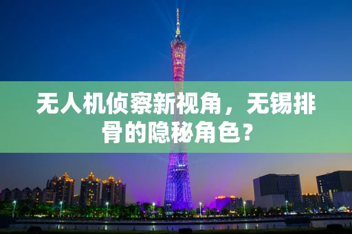 无人机侦察新视角，无锡排骨的隐秘角色？