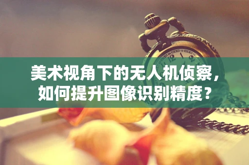 美术视角下的无人机侦察，如何提升图像识别精度？