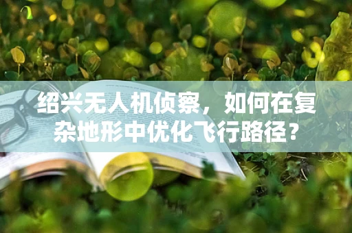 绍兴无人机侦察，如何在复杂地形中优化飞行路径？