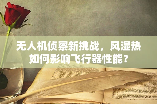无人机侦察新挑战，风湿热如何影响飞行器性能？