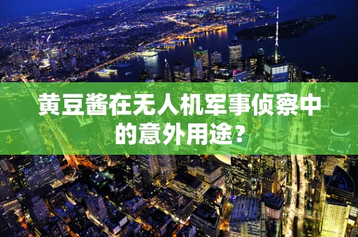 黄豆酱在无人机军事侦察中的意外用途？