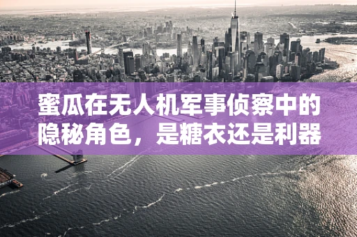 蜜瓜在无人机军事侦察中的隐秘角色，是糖衣还是利器？