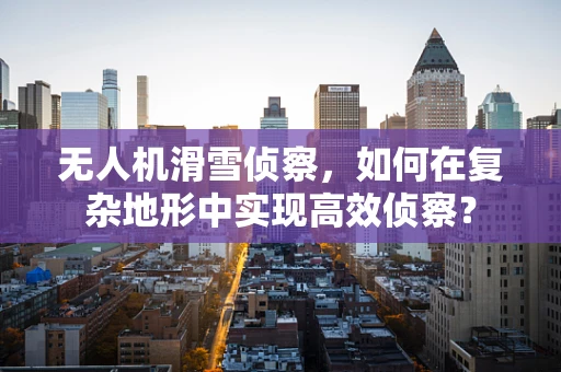 无人机滑雪侦察，如何在复杂地形中实现高效侦察？