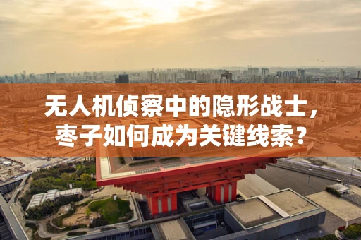 无人机侦察中的隐形战士，枣子如何成为关键线索？