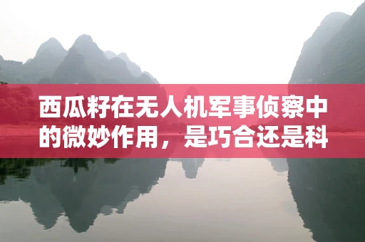 西瓜籽在无人机军事侦察中的微妙作用，是巧合还是科技新突破？