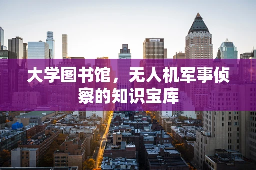 大学图书馆，无人机军事侦察的知识宝库