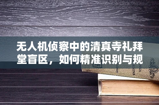 无人机侦察中的清真寺礼拜堂盲区，如何精准识别与规避？