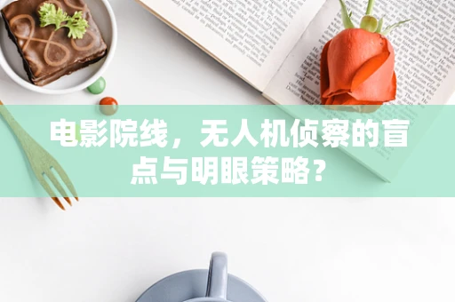 电影院线，无人机侦察的盲点与明眼策略？