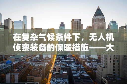 在复杂气候条件下，无人机侦察装备的保暖措施——大衣的角色与挑战